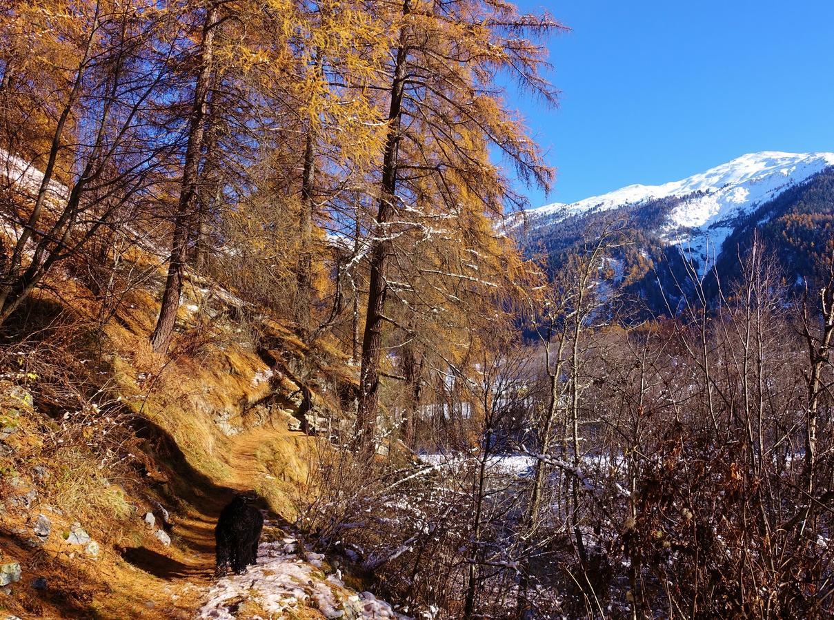 B&B Villa Stelvio Santa Maria Val Müstair Exteriör bild